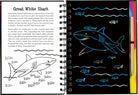 Scratch & Sketch Sharks by Peter Pauper Press