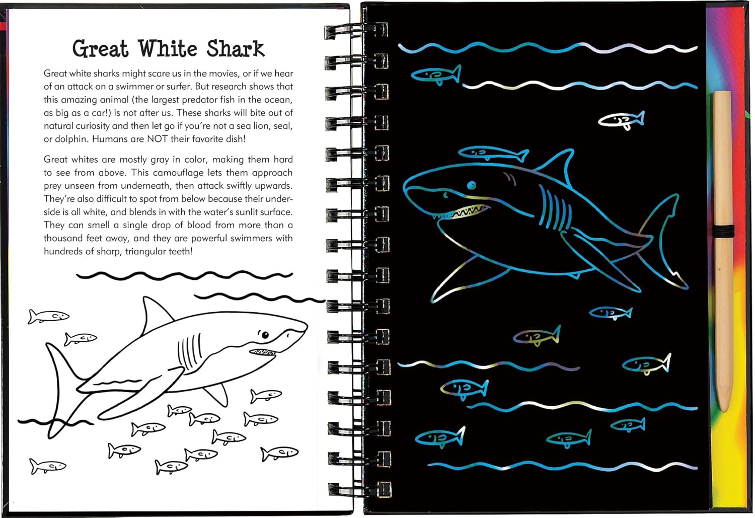Scratch & Sketch Sharks by Peter Pauper Press