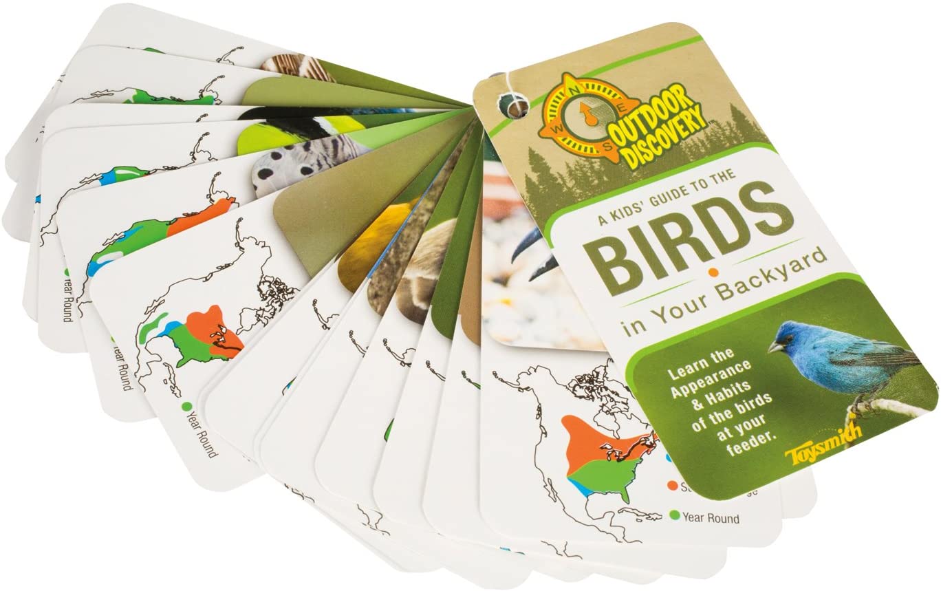 Little Birder Set by Toysmith 2