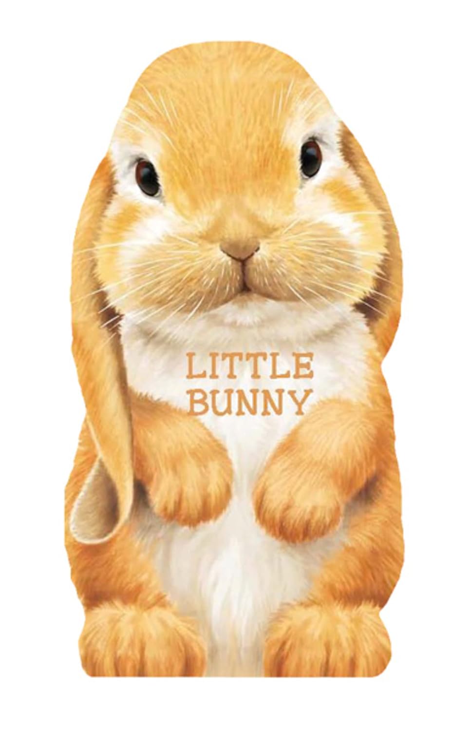 Little Bunny Board Book-by-Sourcebooks