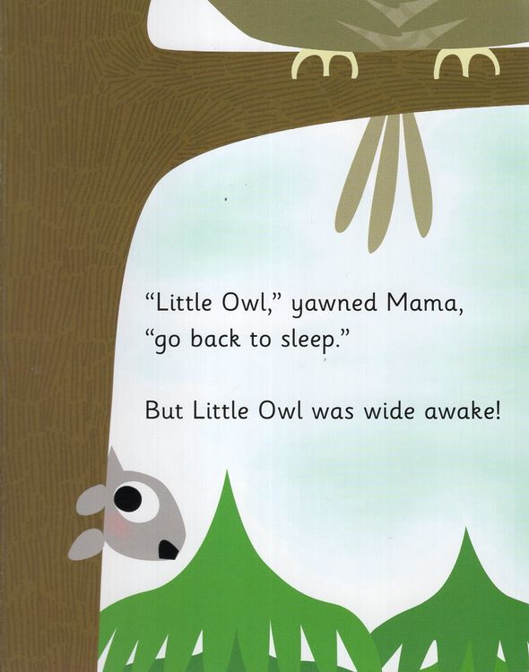 Little Owl's Day – A2Z Science & Toys
