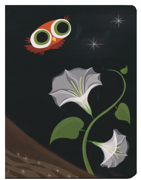 Little Owl's Night – A2Z Science & Toys