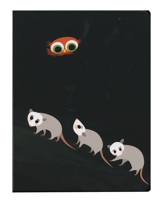 Little Owls Night by Viking Books for Young Readers 4