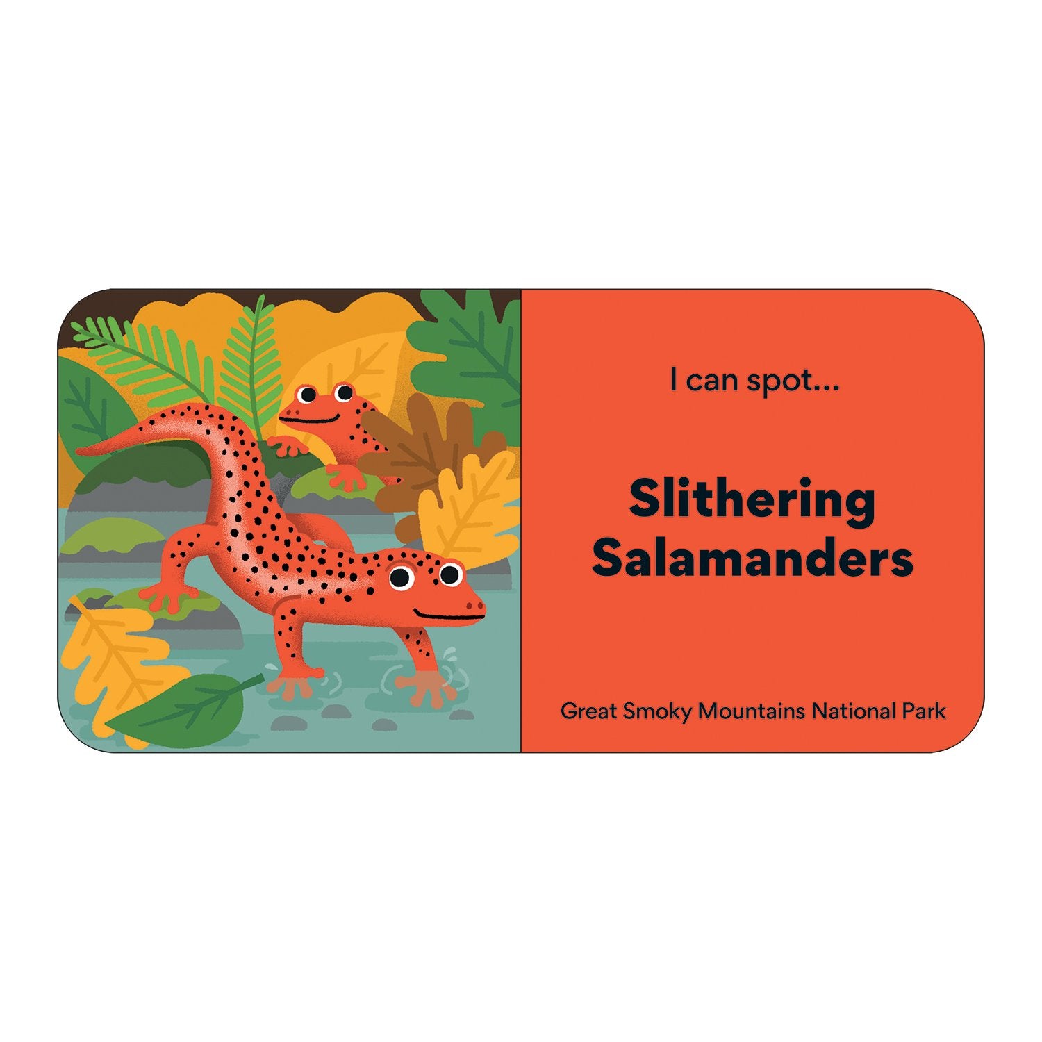 Little Park Ranger Board Book Set by Mudpuppy 5