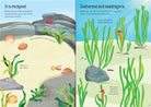 Little Stickers Aquarium by Usborne 2