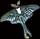Luna Moth Pin by WM Spear Designs