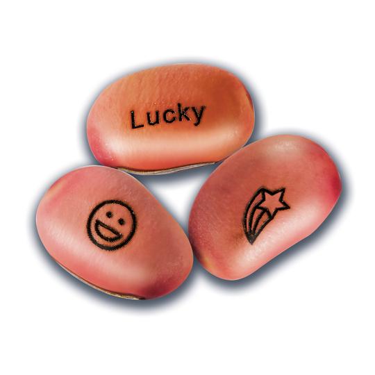 Magic Bean Garden by Creativity for Kids 2