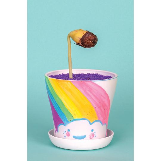 Magic Bean Garden by Creativity for Kids 3