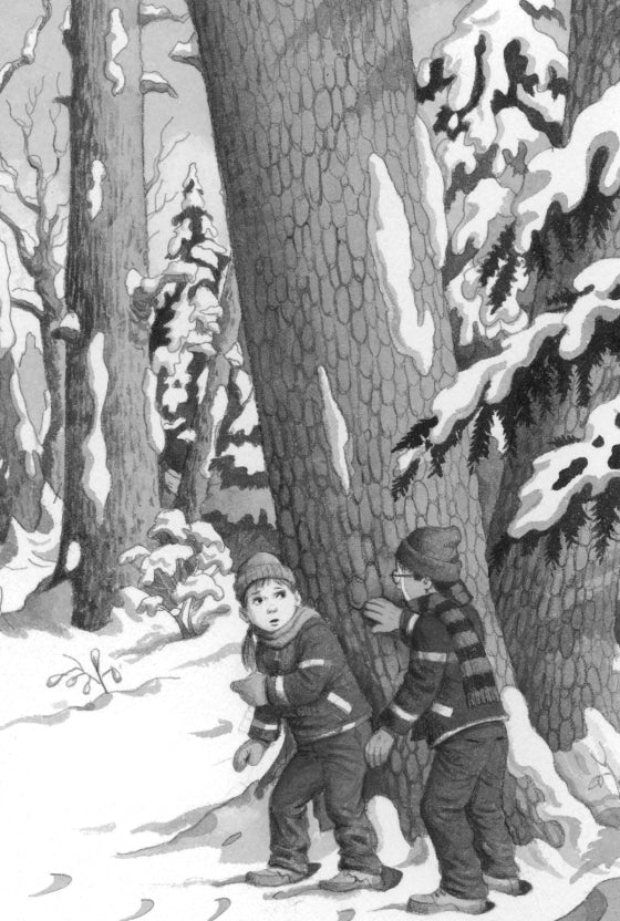 Magic Tree House Merlin Mission #4: Winter of the Ice Wizard – A2Z