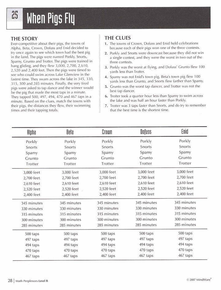 Math Perplexors Level B by MindWare 2