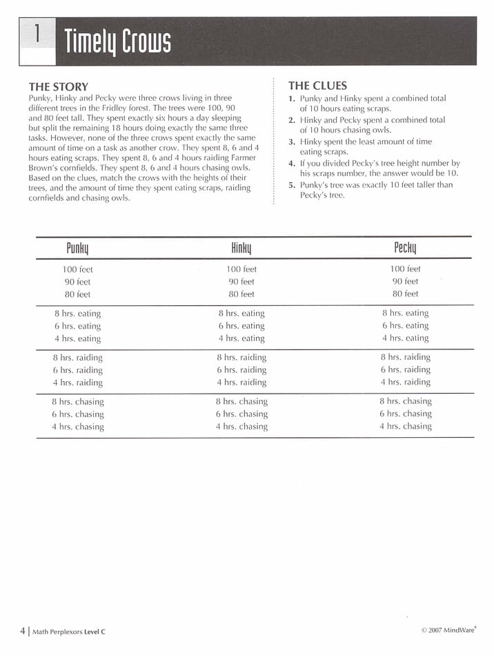 Math Perplexors Level C by MindWare 1