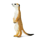 Meerkat by Safari
