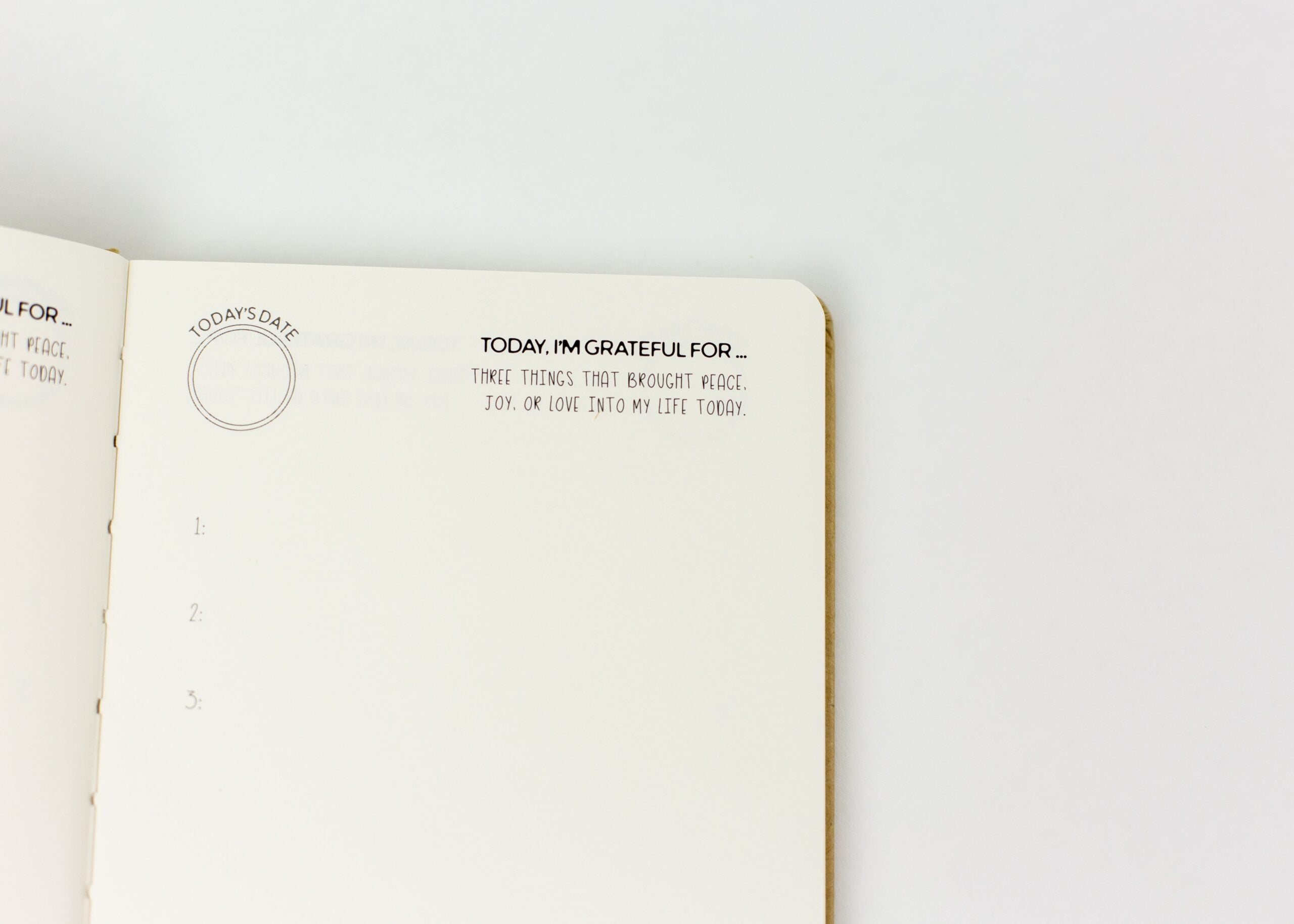 Mindful Kids Journal Gratitude by Little Renegades 3 scaled