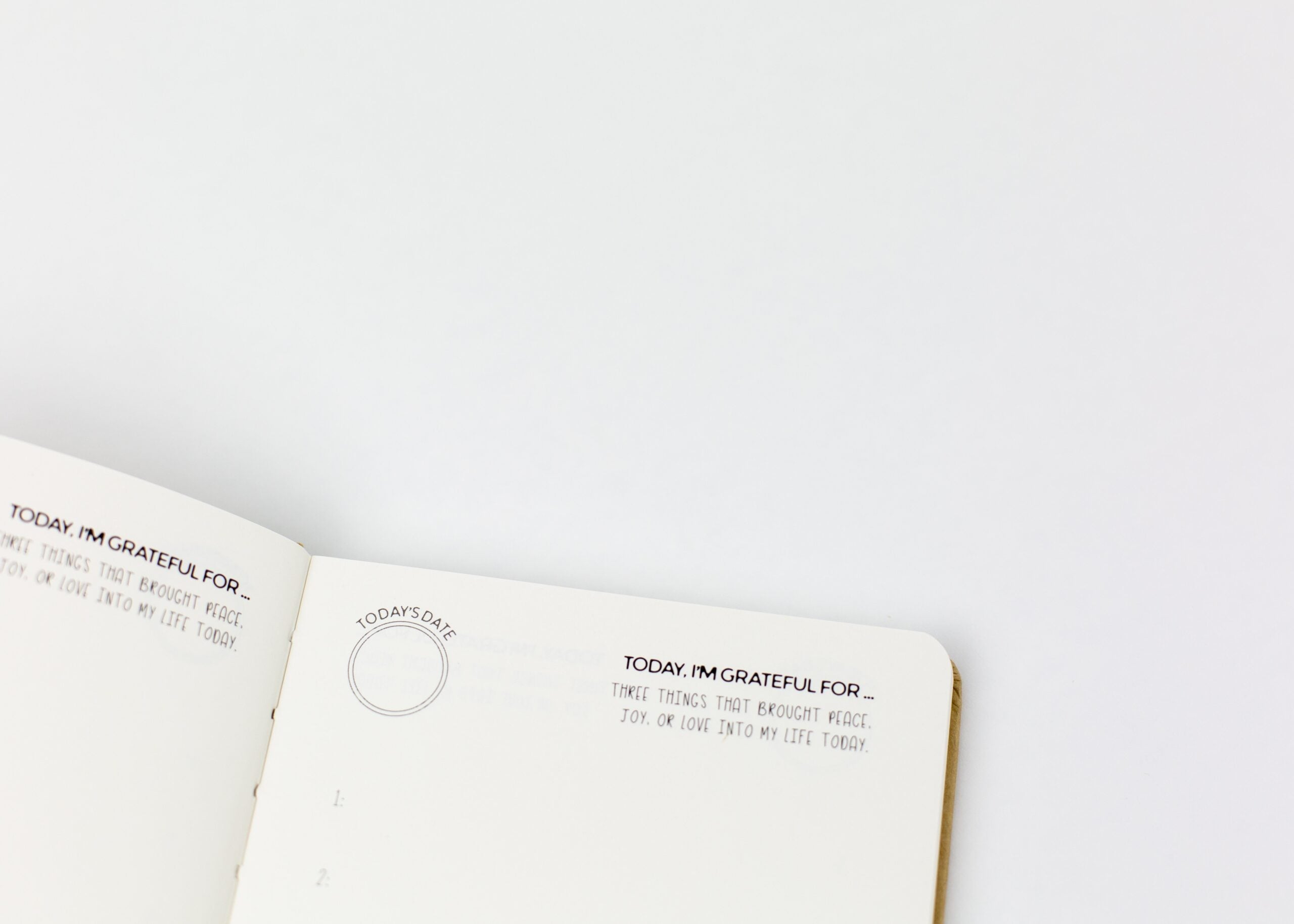 Mindful Kids Journal Gratitude by Little Renegades 4 scaled