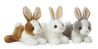 Mini Flopsie Bunny Assortment by Aurora