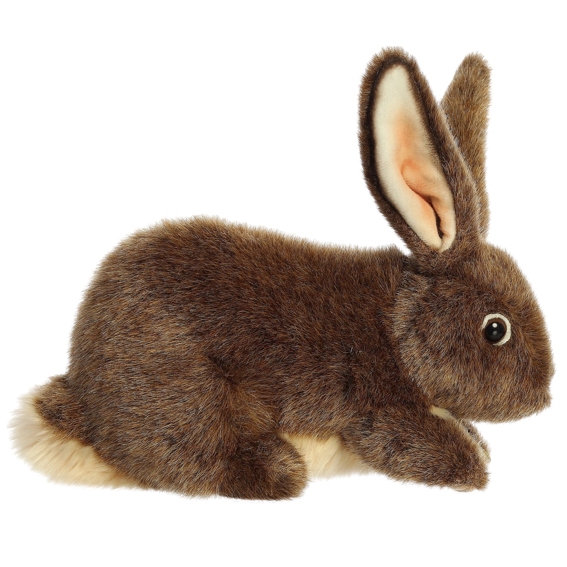 Miyoni Flemish Rabbit 10 by Aurora 2