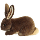 Miyoni Flemish Rabbit 10 by Aurora 4