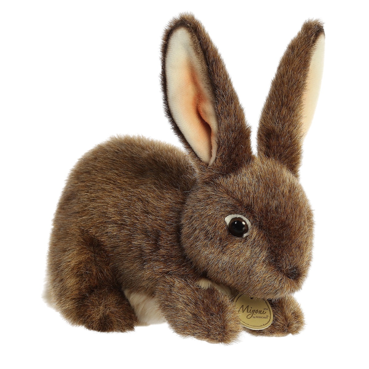 Miyoni Flemish Rabbit 10