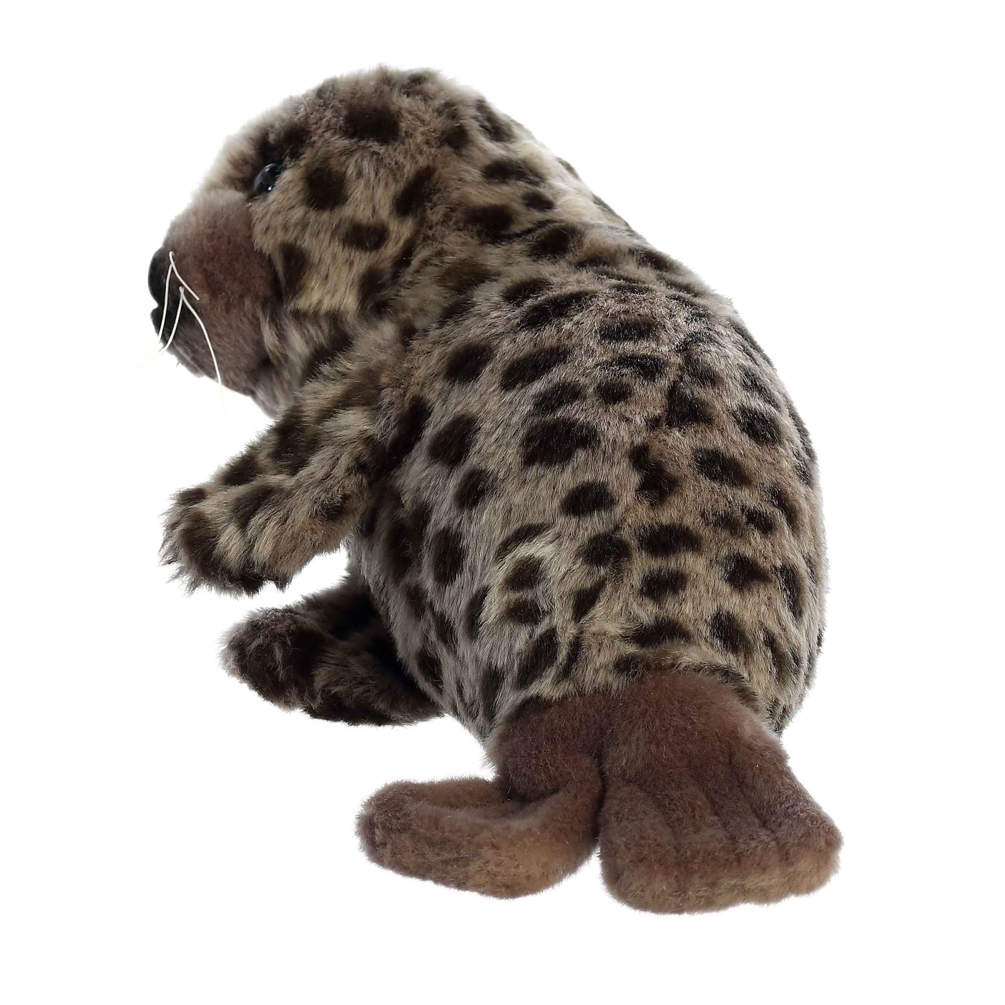 Miyoni Harbor Seal 11 by Aurora 4