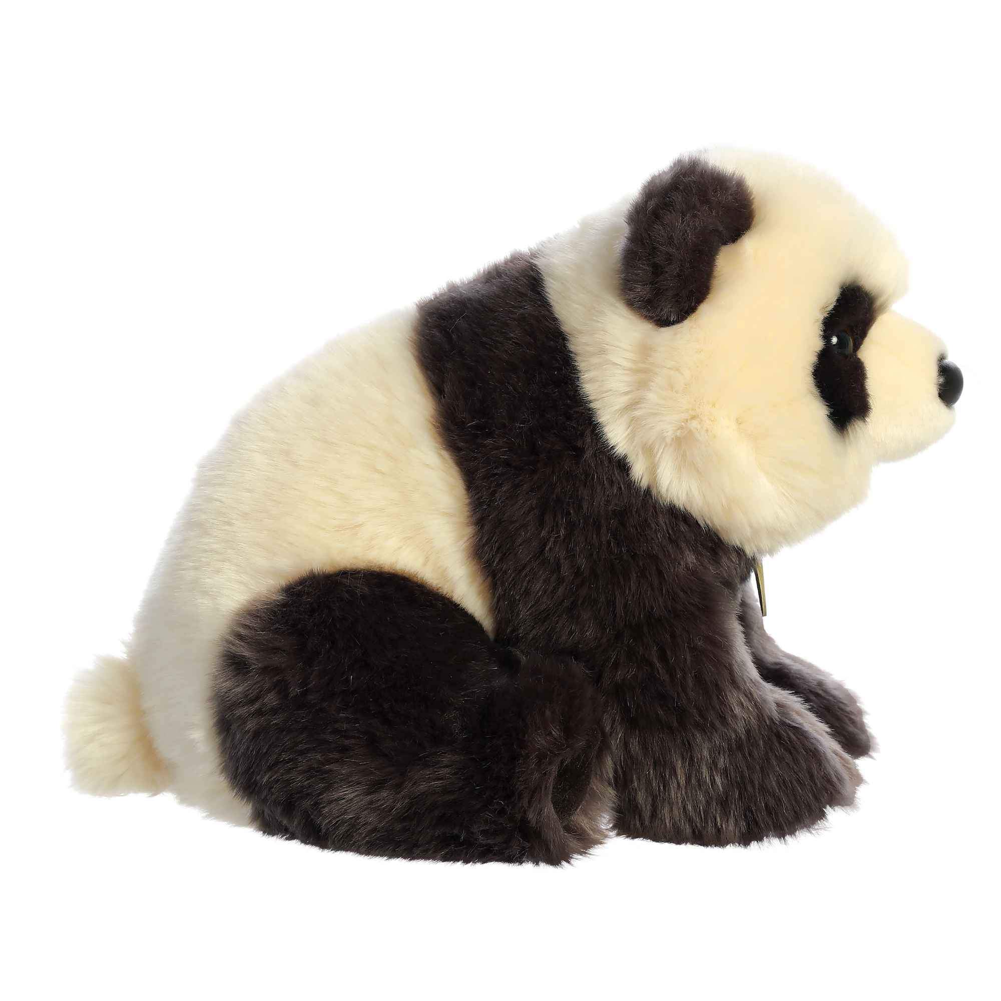 Miyoni Panda 12