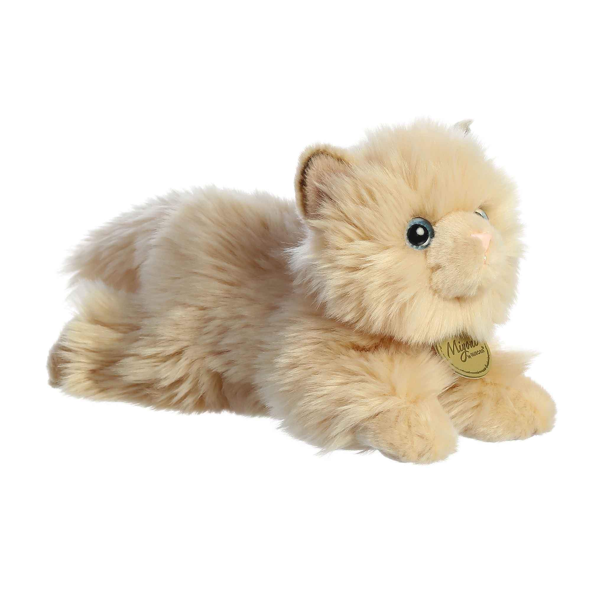 Miyoni Persian Cat 8.5