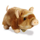 Miyoni Pot Bellied Pig Two Color 11 by Aurora