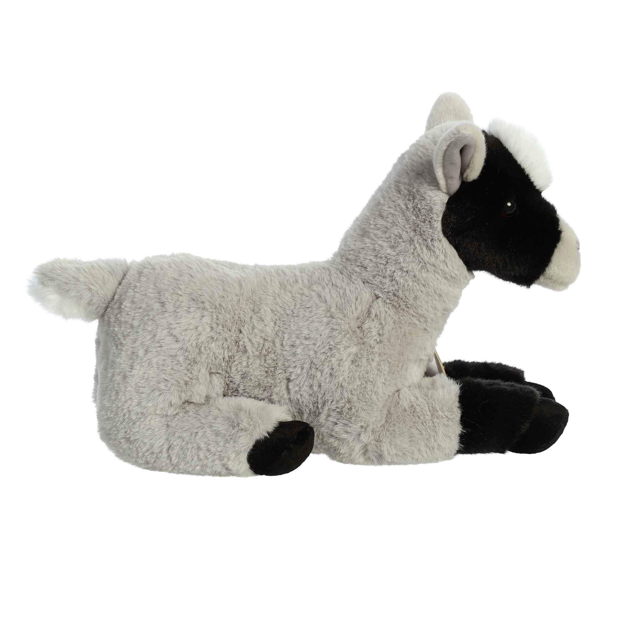 Miyoni Pygmy Goat 13 by Aurora 2