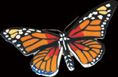 Monarch Butterfly Zipper Pull by WM Spear Designs