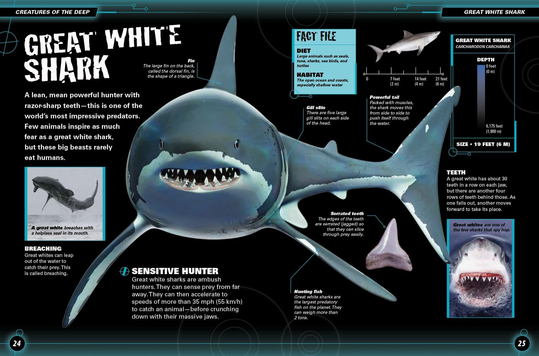 Monsters of the Deep by Firefly Books 2