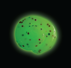 Monstrosity Thinking Putty Trendsetters Series by Crazy Aarons Putty World 3