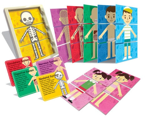 My Body Anatomy by Toysmith 1