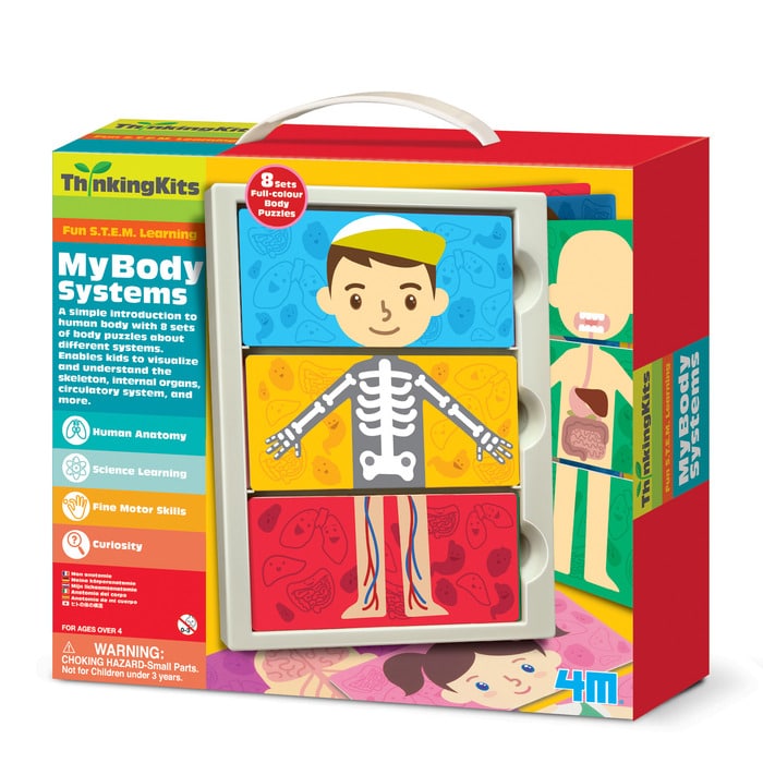 My Body Anatomy by Toysmith