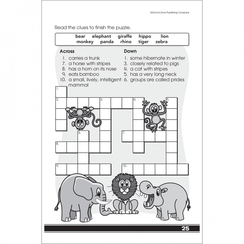 My First Codes and Puzzles by School Zone 3