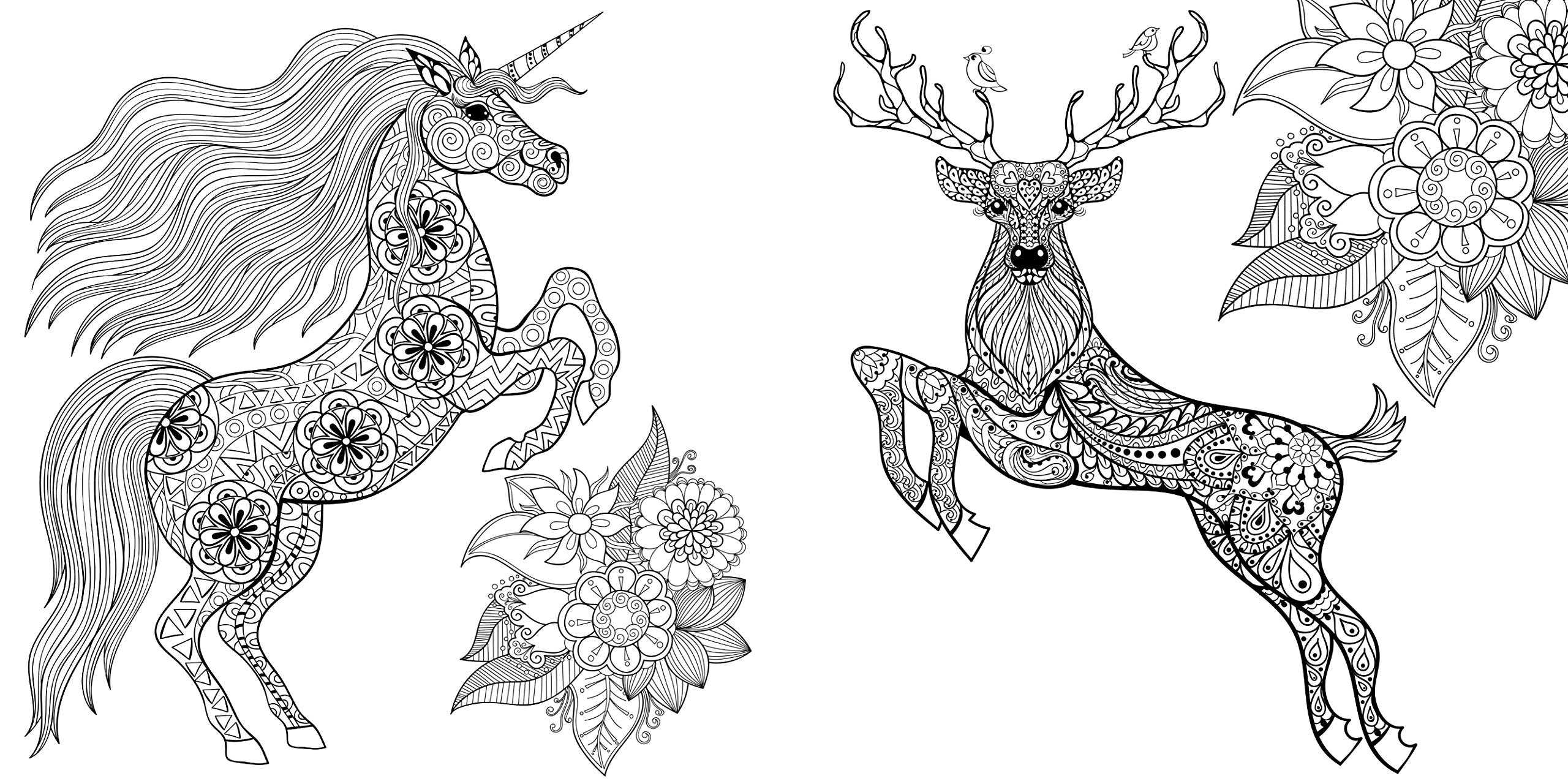 My Mystical Wonderland Art Therapy Coloring Book for Creative Minds by Ingram 3