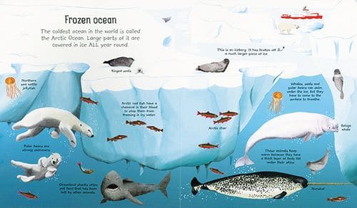 My Very First Seas and Oceans Book by Usborne 1