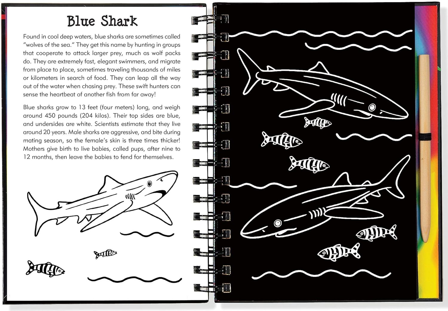 Scratch & Sketch Sharks by Peter Pauper Press
