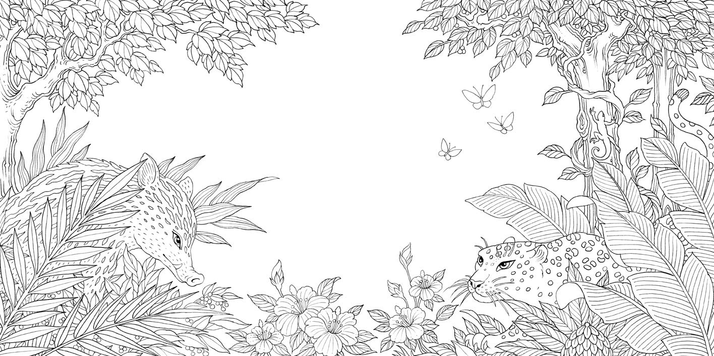 Nature Odyssey A Wild Coloring Journey by Sterling Publishing 3