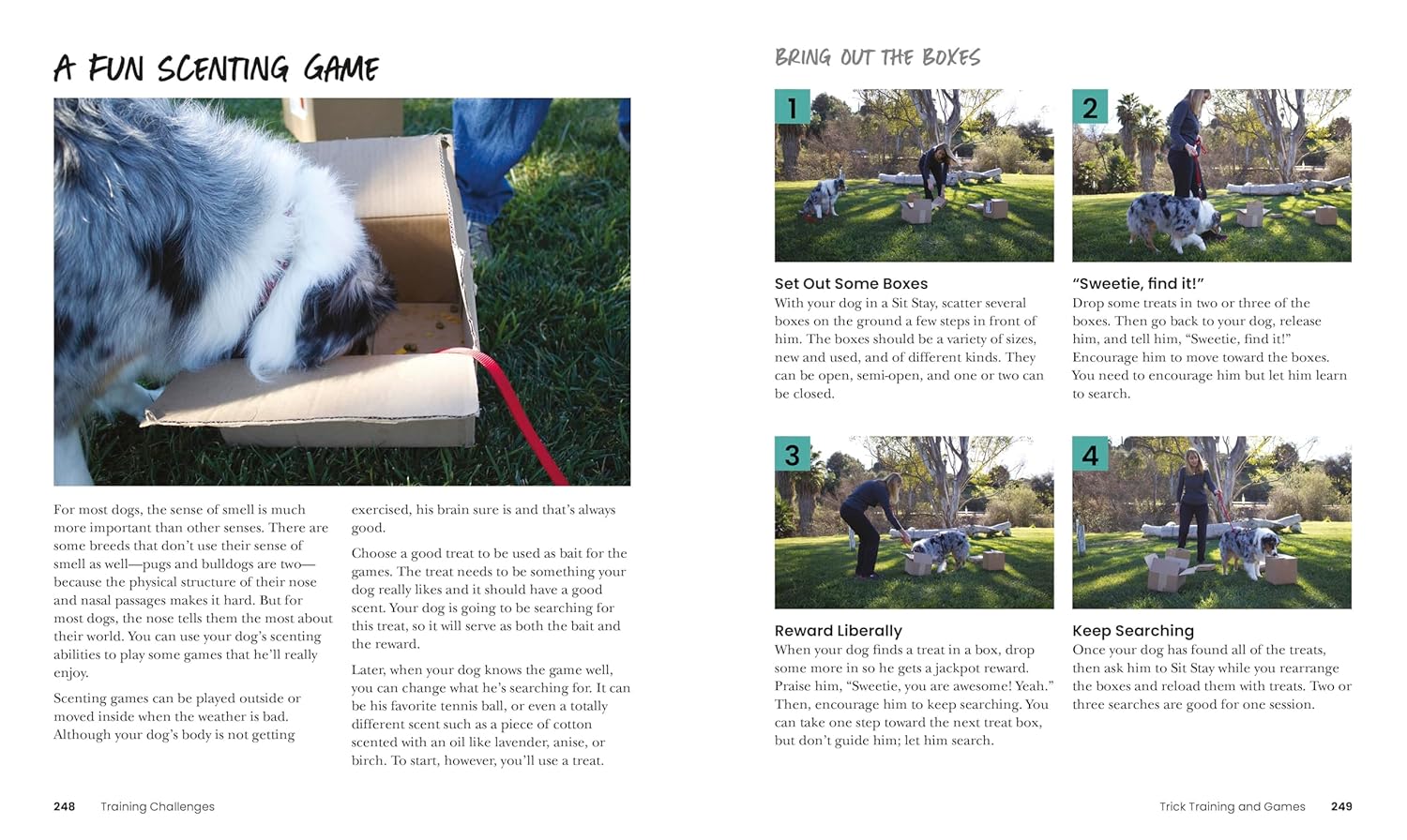 How to Train Your Dog by DK Publishing