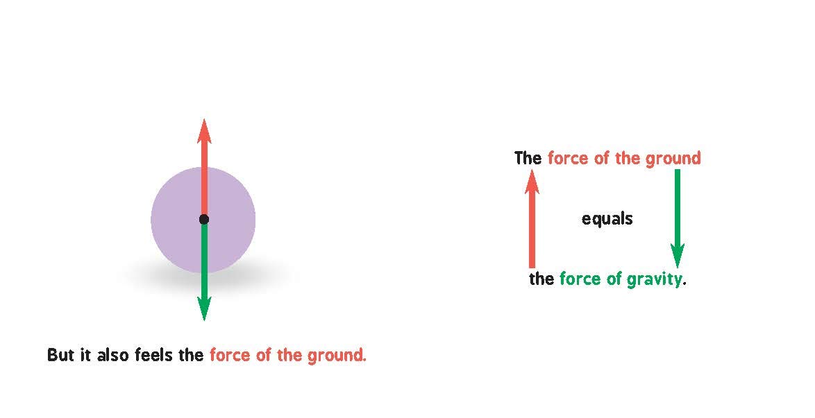 Newtonian Physics for Babies by Baby University 4