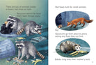 Night Day Animals Usborne Beginners by Usborne 1