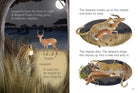 Night Day Animals Usborne Beginners by Usborne 2