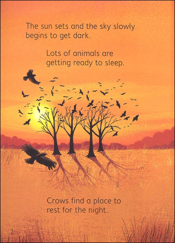 Night Day Animals Usborne Beginners by Usborne 4