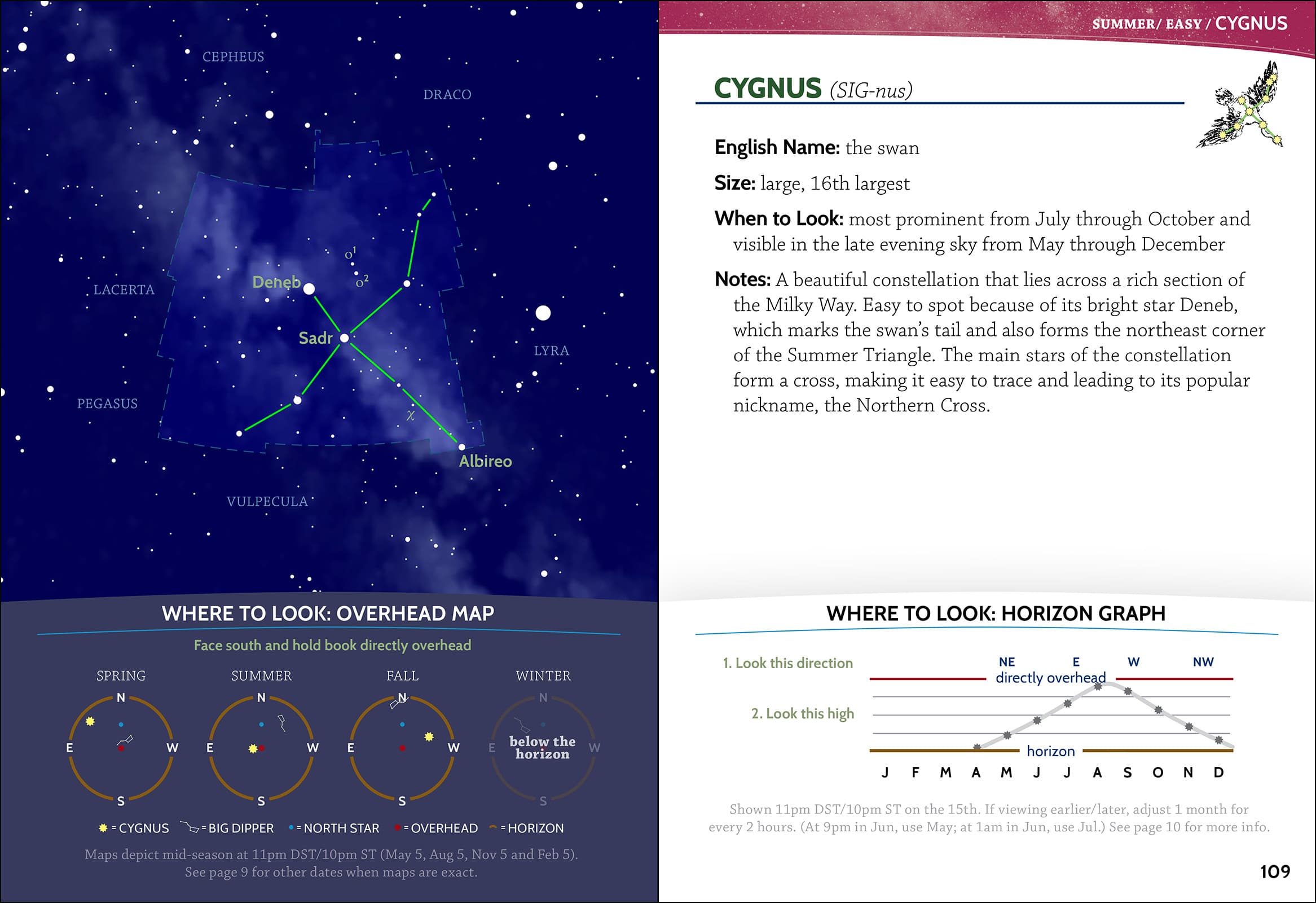 Night Sky A Field Guide to the Constellations by Adventure Publications 1