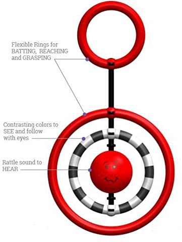 NogginRings by SmartNoggin 2
