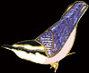 Nuthatch Pin by WM Spear Designs