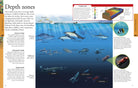 Ocean A Visual Encyclopedia by Dorling Kindersley 2
