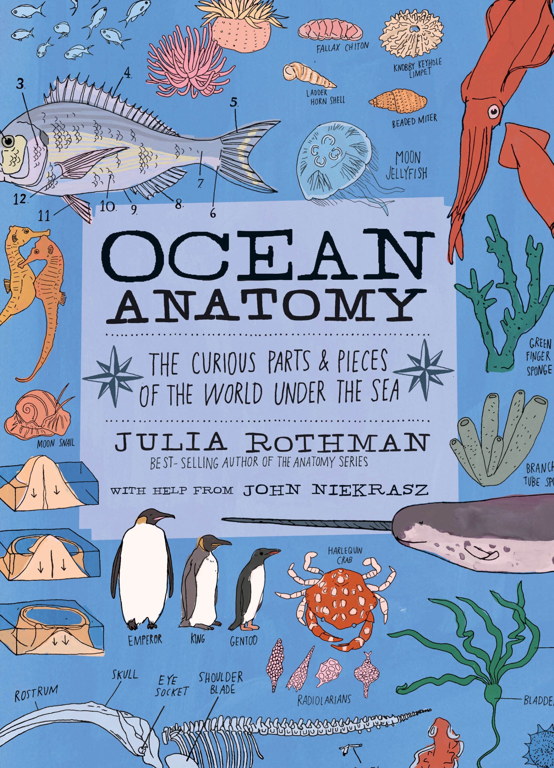 Ocean Anatomy by Workman Publishing scaled