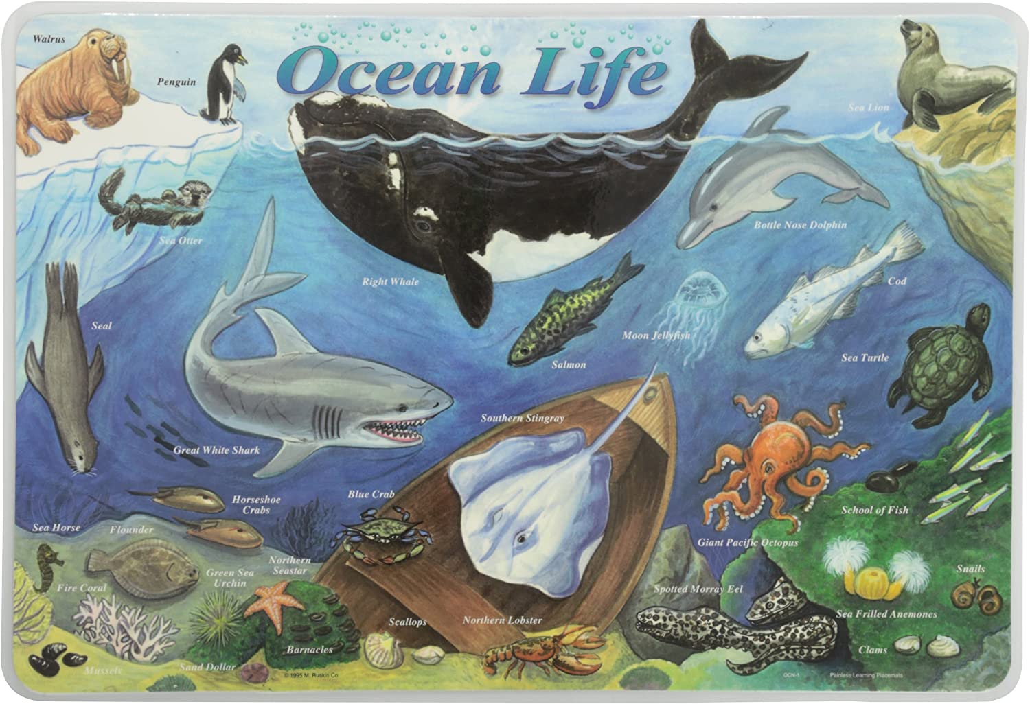 Ocean Life Placemat by Painless Learning