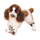 Ogilvy Springer Spaniel 16 by Douglas