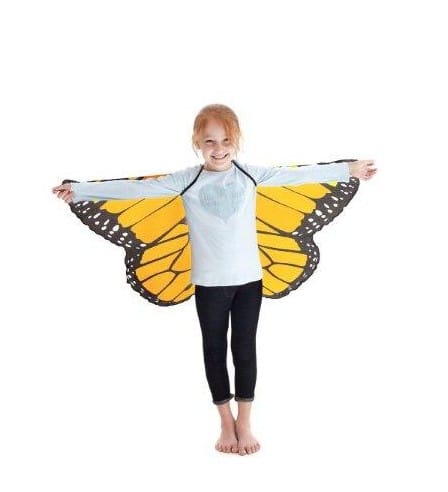 Orange Butterfly Wings by Douglas 1